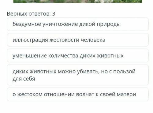 Каковы основные проблемы философского стихотворения О.Сулейменова Волчата?​