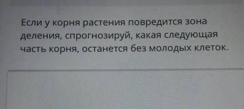 Если у корня растения повредится зона деления, спрогнозируй, какая следующаячасть корня, останется б