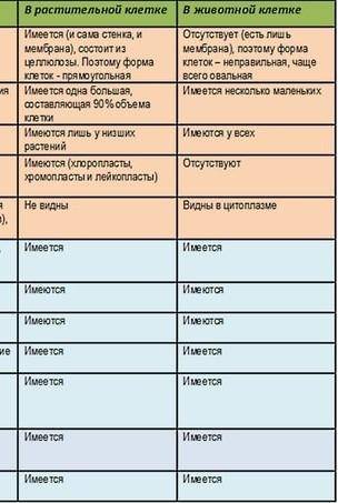 Напишите вывод к таблице о сравнении растительной и животной клетки​