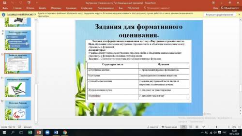 (b) Соотнесите структуры листа и выполняемые функции: