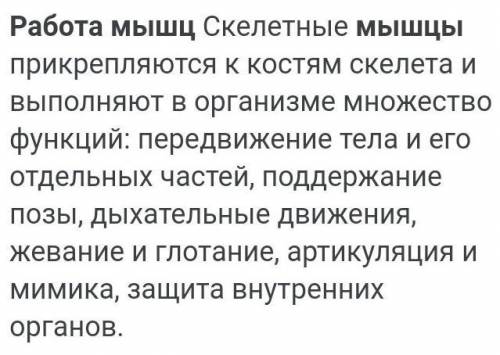 Конспект на тему Работа мышц. Управление движениями. Утомление.