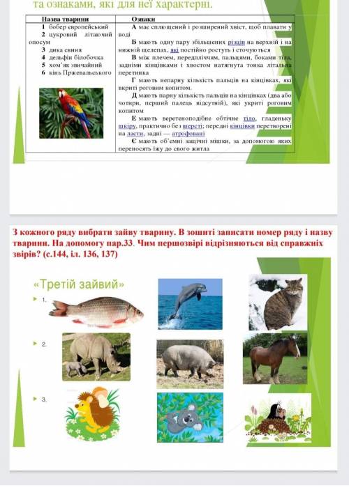 Если можно то и 1 задание и 2)​