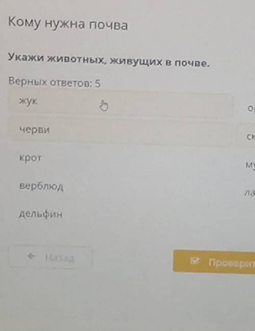 Кому нужна почва Укажи животных, живущих в почве.Верных ответов: 5жукорёлчервискорпионкротмуравьивер