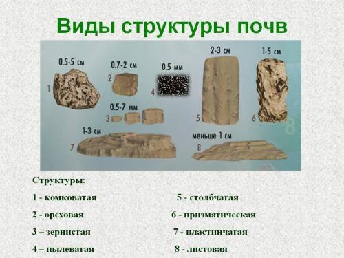 На какие виды делится структура почвы​