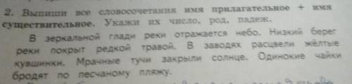 Выпиши все словосочетания имя имя прилагательное ++ имясуществительное. Укажи их число, род, падеж.В