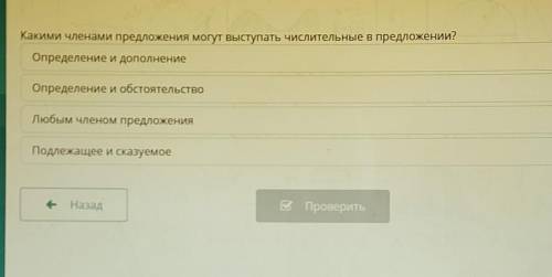 Какими членами предложения могут выступать числительные в предложении? Определение и дополнениеОпред