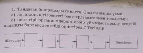4. Таңдаған биоценозды сипатта. Оны сыныпқа ұсын. а) логикалық тізбектегі бос жерді мысалмен толықты