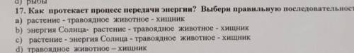 Выбери правильную последовательность. Всë на фото! ​