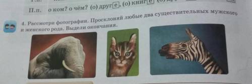 4. Рассмотри фотографии. Просклоняй любые два существительных мужского П.П.оком? очем?Інженского род