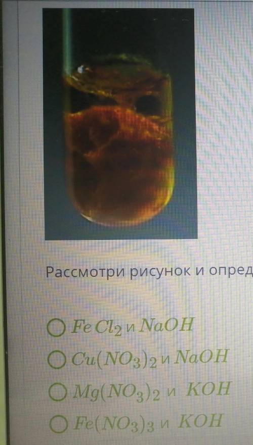 К раствору соли добавили раствор щелочи. В результате выпал осадок. Рассмотрим рисунок и определи, р