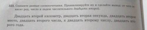 323. Спишите данные словосочетания. Проанализируйте их и сделайте вывод: от чего за висят род, число