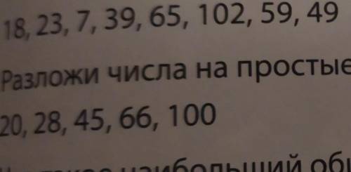 разобраться (разложи числа на простые множители)​