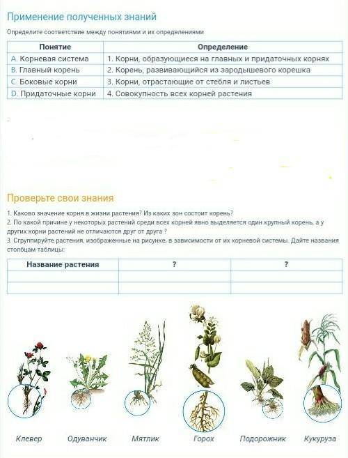 Биология. 6 класс. еще 5☆ и блага. Буду признательна за ответ. ~баю баюшки баю~~не пишите мне фигню~