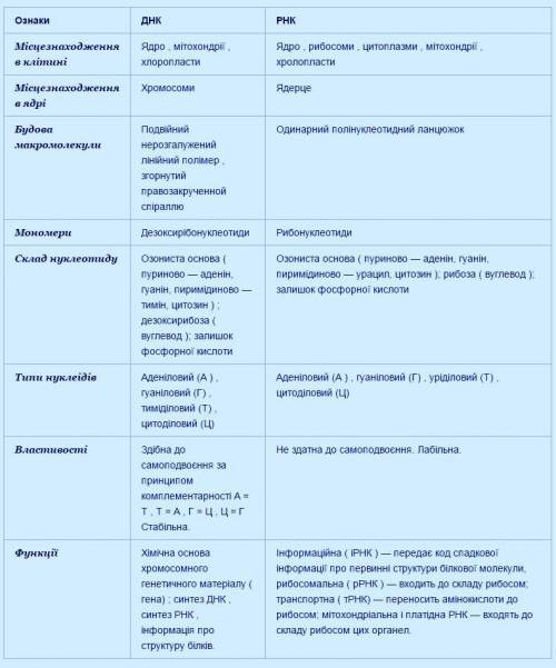 ...Порівняння ДНК та РНК у виглядi таблиці...