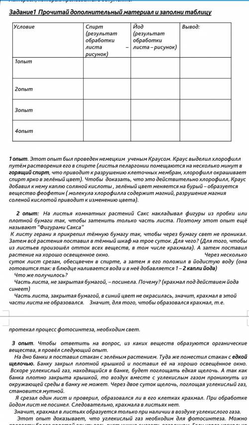 Прочитай дополнительный материал и заполни таблицу  УсловиеСпирт(результат обработки листа – рисунок