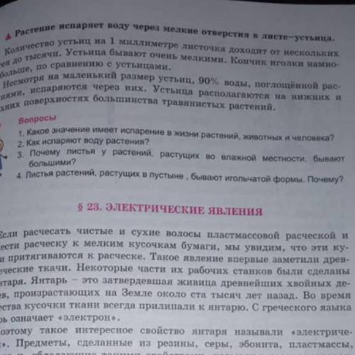 Почему листья у растений, растущих во влажной местности, бывают большими?