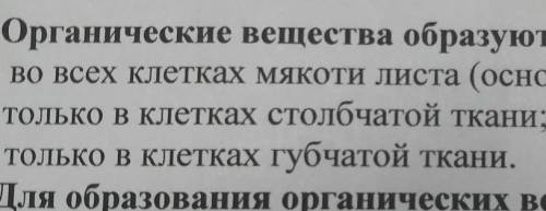 Процессы жизнедеятель 1. Органические вещества образуются на свету:А) во всех клетках мякоти листа (