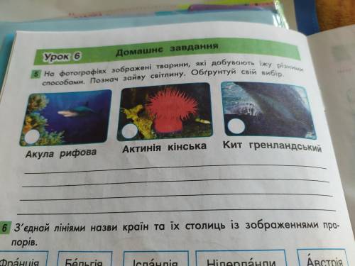 На фотографіях зображені тварини які добувають їжу різними Познач зайве світлину. Обґрунтуйте свій в