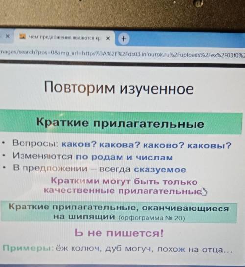 Чем в предложении являются краткие прилагательные?​