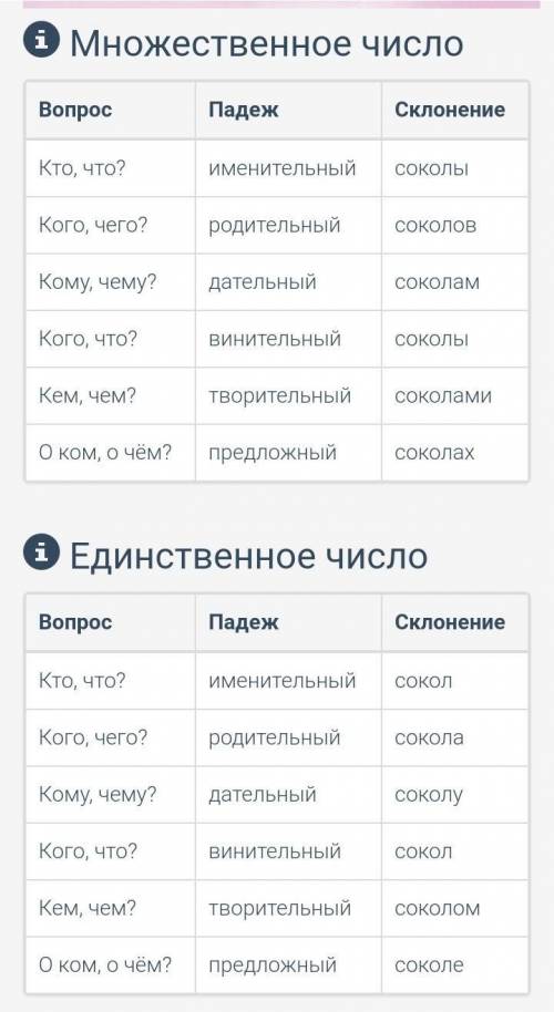 Сұнқар сөзін жекеше көпше түрде жіктеп жазу​