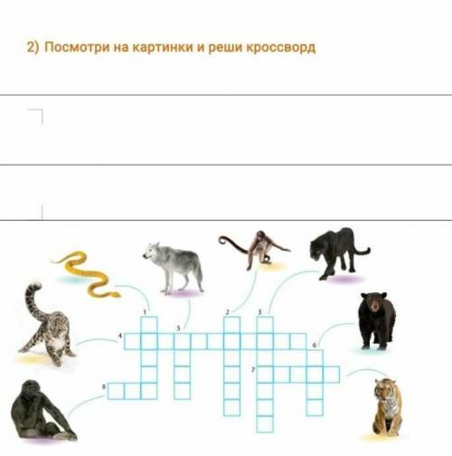 Посмотри на картинки и реши кроссворд. и лучший ответ напишите билеберду кину репорт.​