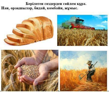 Берілеген сездерден сөйлем кура: Нан, орақшылар, бидай, комбайн, жұмыс.​