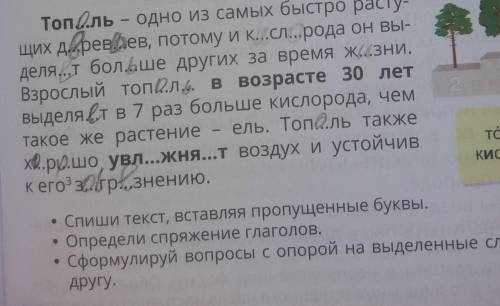 4. Рассмотри рисунок и предположи, какие деревья нужно высаживать в городах, чтобы повысить уровень