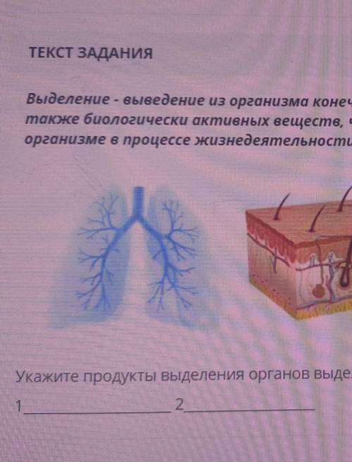 Выделение - выведение из организма конечных продуктов обмена веществ, избытка воды, солей, а также б