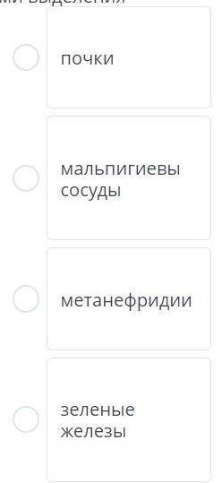 Установите соответствие между организмом и органами выделения ракчервьчерепахабабочка​