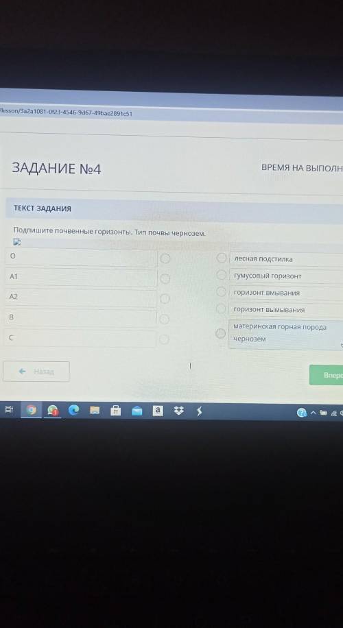 ТЕКСТ ЗАДАНИЯ Подпишите почвенные горизонты. Тип почвы чернозем.олесная подстилкаОгумусовый горизонт