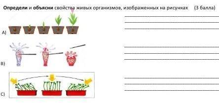 токо можно нормальный ответ а то мне написали что в инете есть а там нет ​