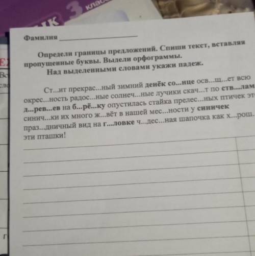 напишите падёжные в выделенных словах
