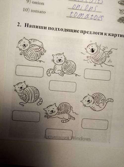 Напиши подходящие предлоги к картинкам