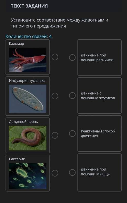 ТЕКСТ ЗАДАНИЯ Установите соответствие между животным и типом его передвиженияКоличество связей: 4Кал