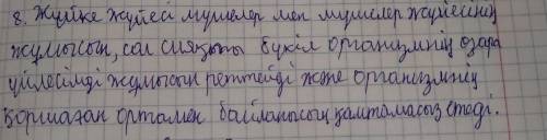 Жүйке жүйесінің қызметі бұл