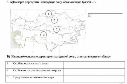 5. А)По карте определите природную зону, обозначенную буквой - В. ​