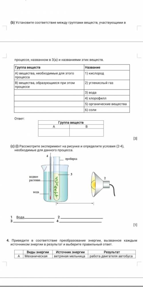 СООЧ 5 КЛАСС 3 ЧЕТВЕЕРТЬ 5 звёзд