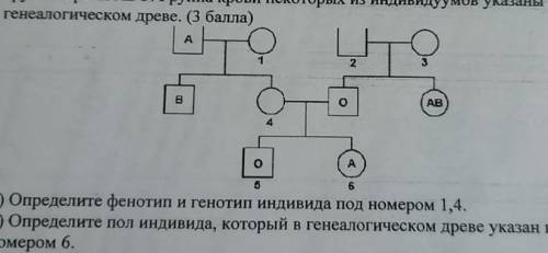 на рисунке показана диаграмма родословной наследования системы группы крови ABO. Группа крови некото