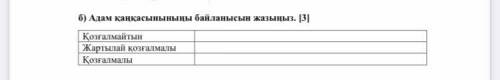 ￼￼￼￼￼Адам қаңқасынының байланысын жазыңыз.