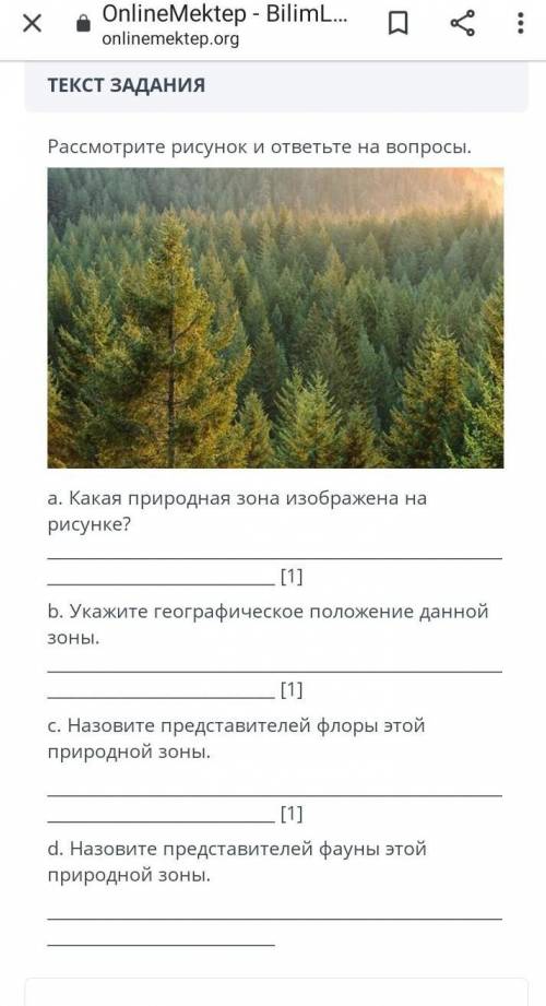 Расмотри рисунок и ответь на вопросы ​