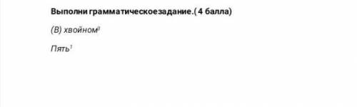 Выполни грамматическое. ( ) (В) хвойном Пять