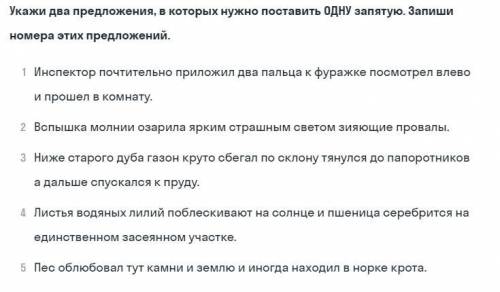 , определить, где нужно поставить ОДНУ запятую