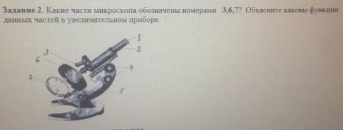 какие части микроскопа обозначены номерами 3 6 7 объясни каковы функции данных частей в увеличенном