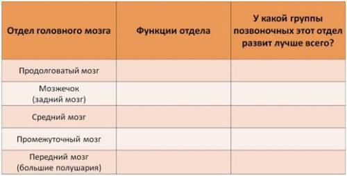 Используя учебник и дополнительные источники информации, заполните таблицу «Строение головного мозга