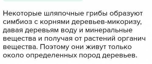 это итоговая контрольная работа Почему некоторые грибы могут жить только вблизи деревьев?