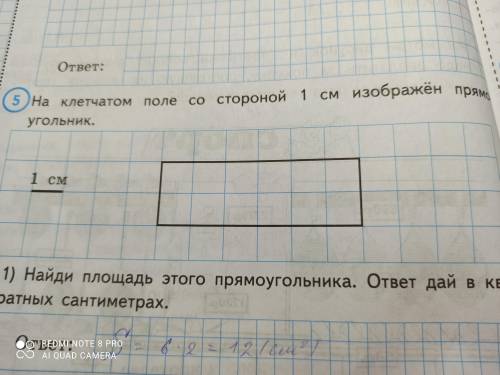 На клетчатом поле со стороной 1 см изображён прямоугольник. Проведи на рисунке выше прямую линию так