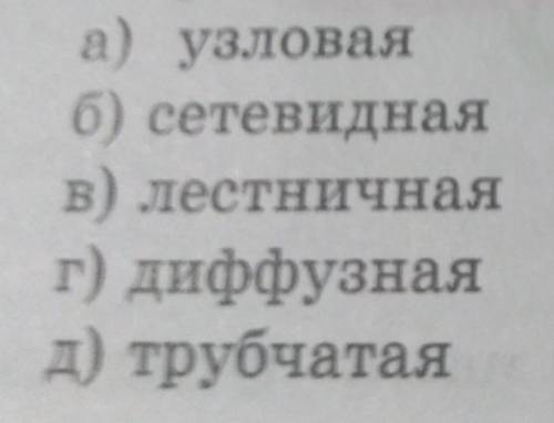 Нервная Система состоит из надглоточного и подглоточного узлов и брюшной нервной цепочки. ​