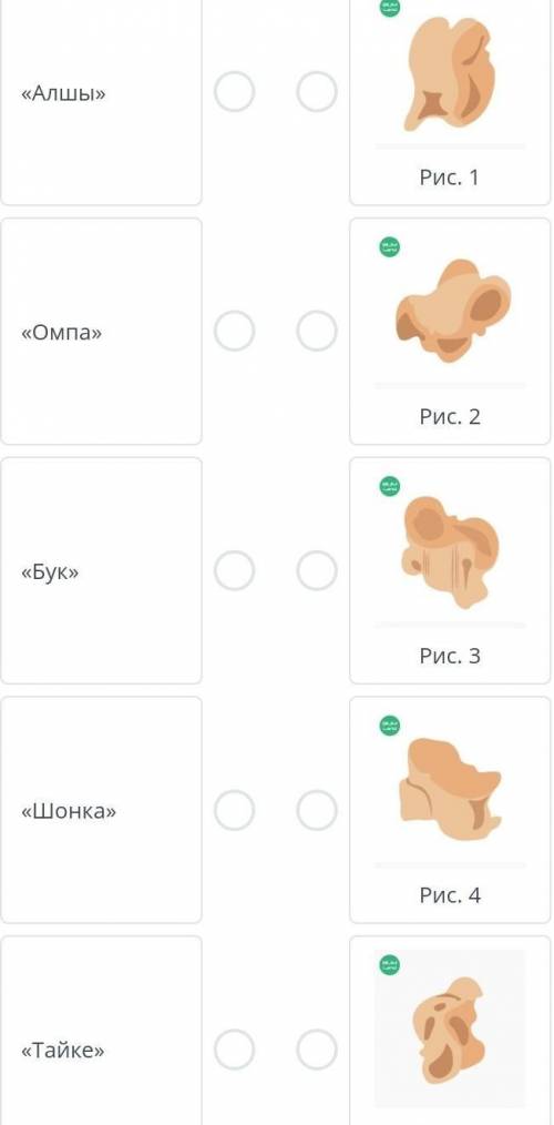 Подвижные игры Соотнеси названия положений асыков с их иллюстрациями.Количество связей: 5«Алшы»«Омпа