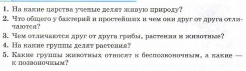вопросы не сложные ( это я тупой)​