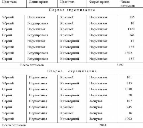 У дрозофилы чёрное тело, киноварные глаза, редуцированные крылья, загнутые крылья – рецессивные приз